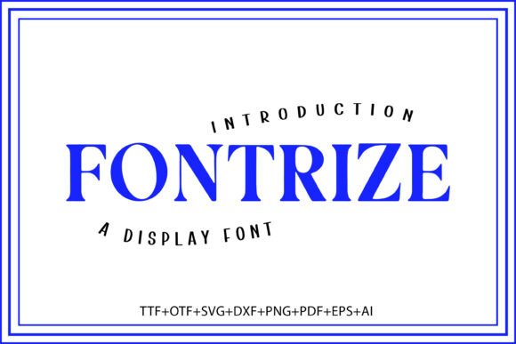 Make Every Word Count: Unlocking the Power of Fontrize